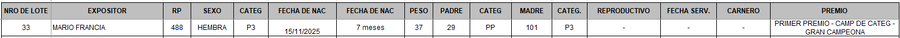 Lote LOTE 33 - BOZAL