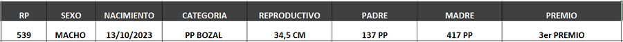 Lote LOTE 55- BOZAL