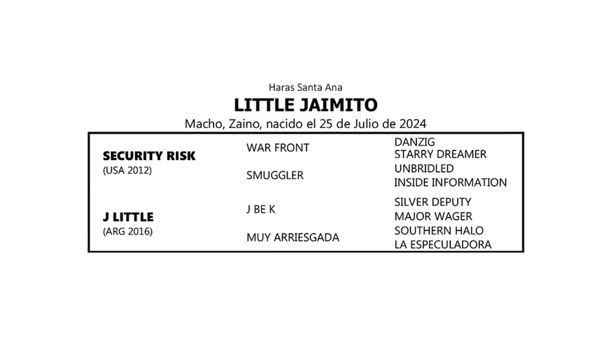 Lote LITTLE JAIMITO