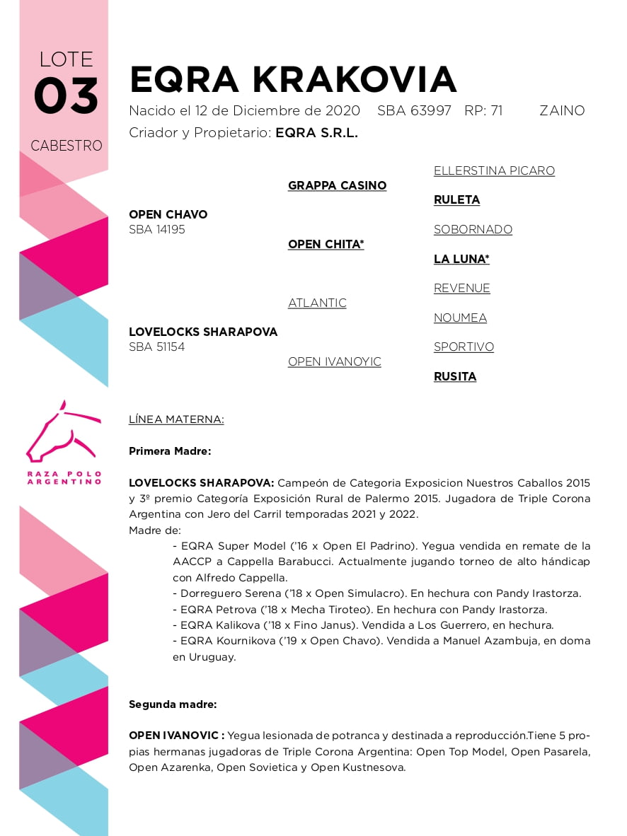 Lote EQRA KRAKOVIA (OPEN CHAVO -  LOVELOCKS SHARAPOVA)