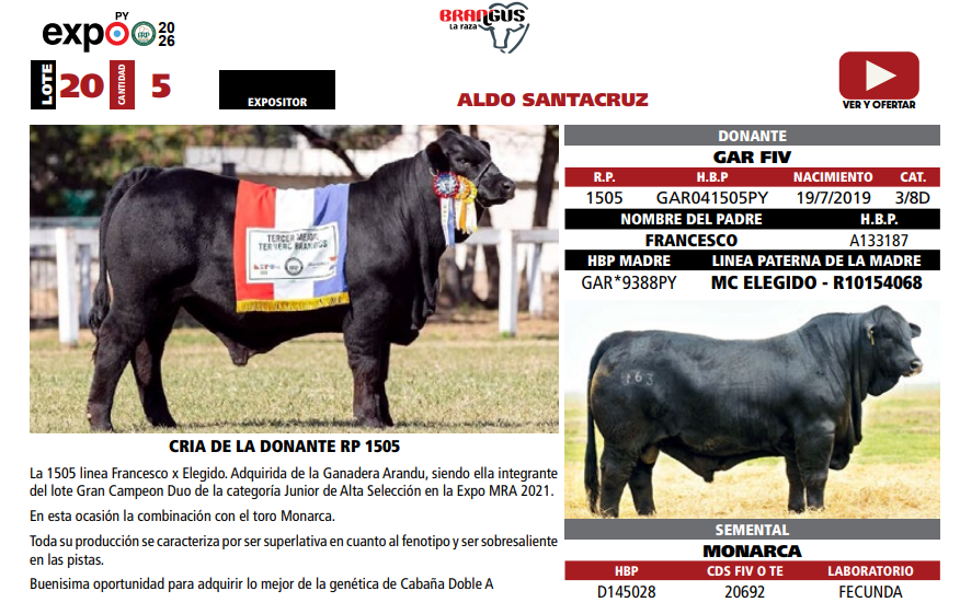Lote LOTE 20