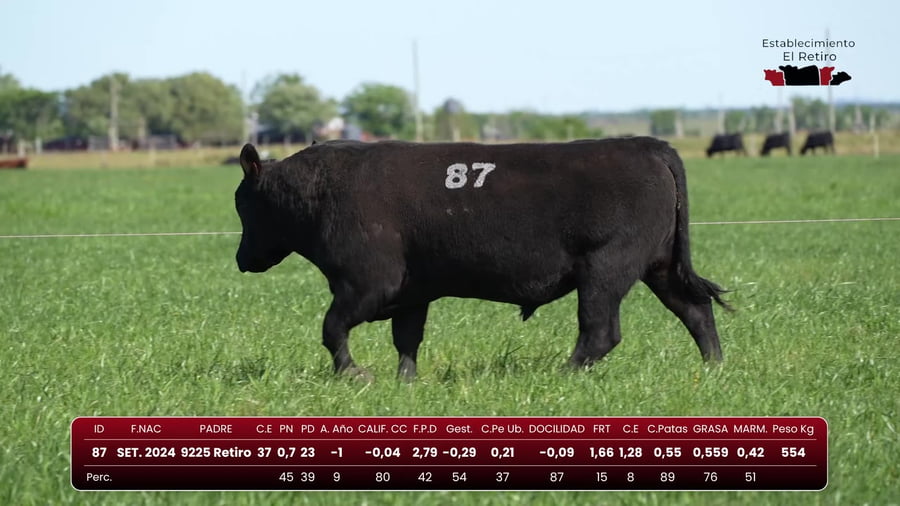 Lote RP 87