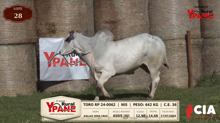 Lote Lote 28