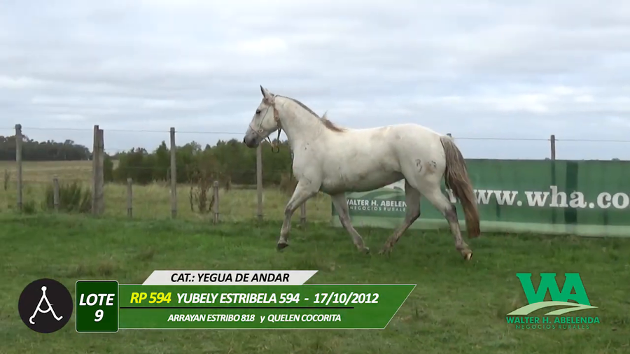 Lote YUBELY ESTRIBELA 594