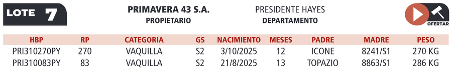 Lote LOTE 7