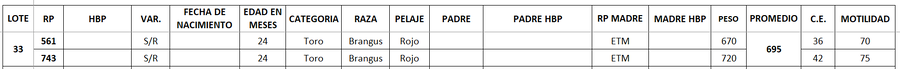 Lote LOTE 33