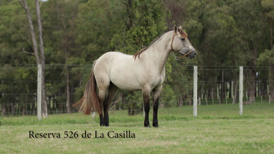 Lote Reserva 526 De La Casilla