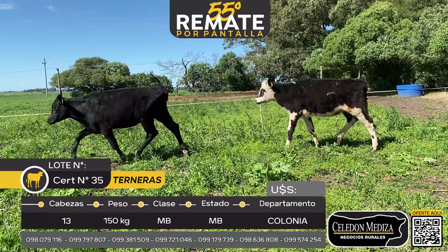 Lote 13 Terneras en Quintón a 7 km de Tarariras, Colonia