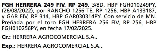 Lote LOTE 61- SALE A VENTA AL 50%