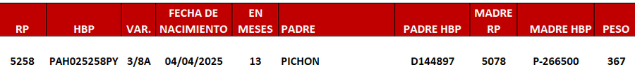 Lote LOTE 21 -DE JUNIOR