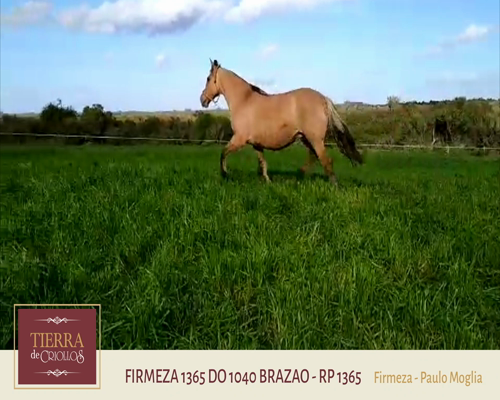 Lote Firmeza 1365 (RP 1365) - Cabaña Firmeza