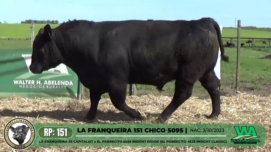 Lote LA FRANQUEIRA 151 CHICO 5095