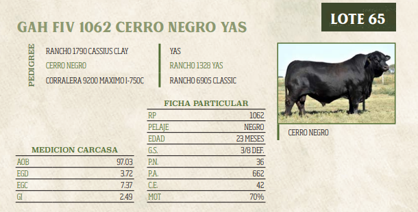 Lote LOTE 65