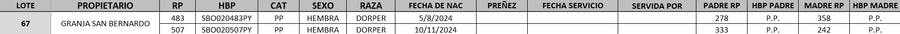 Lote LOTE 67