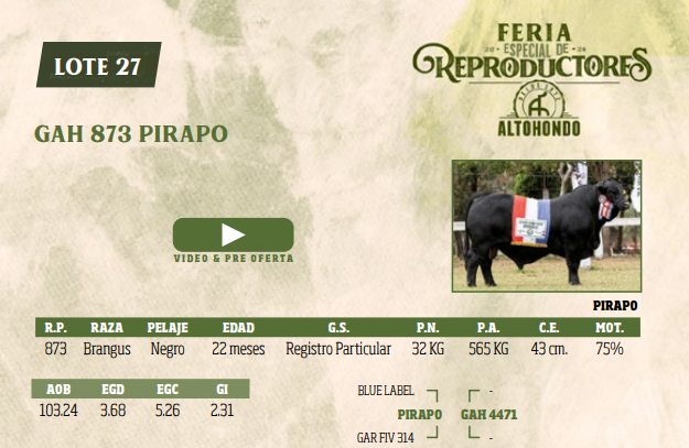 Lote LOTE 27