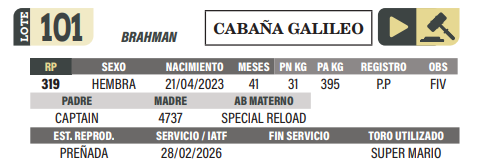 Lote LOTE 101