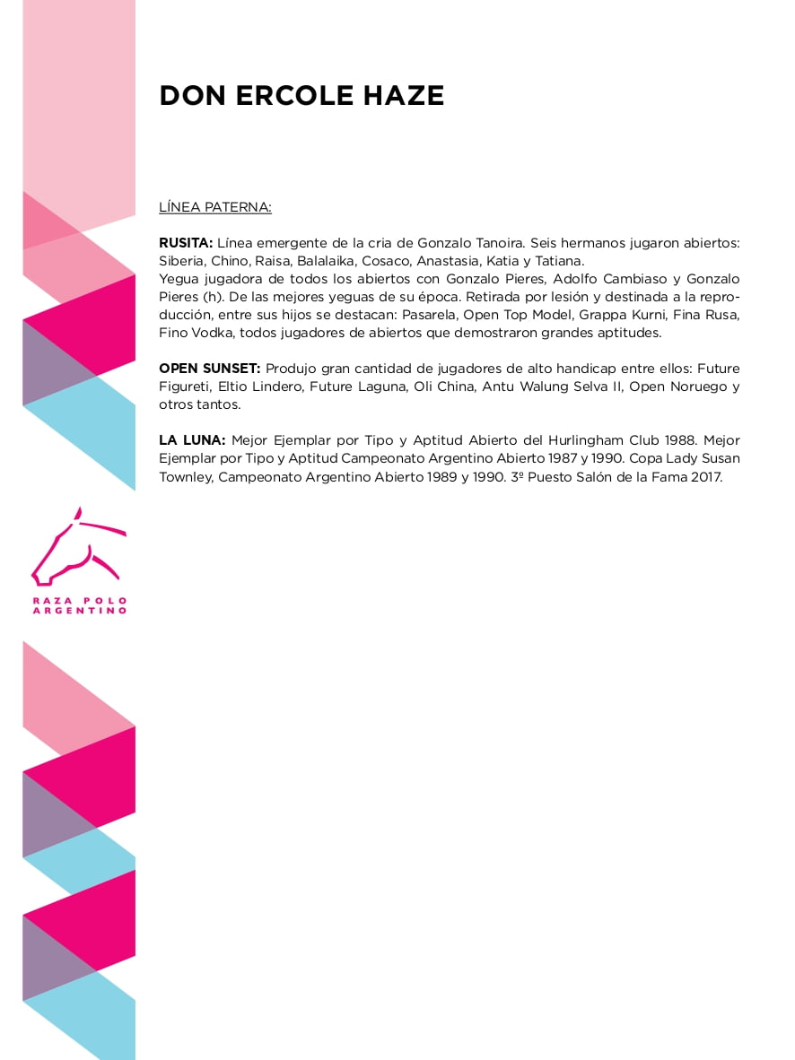 Lote DON ERCOLE HAZE (OPEN SCHEVCHENCO - DOLFINA HESILU)