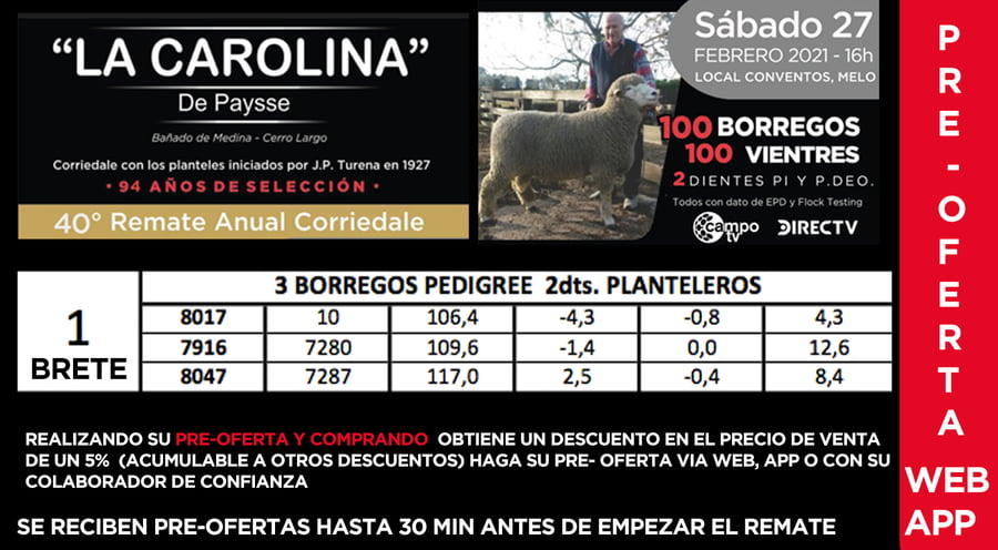 Lote 1 Borregos Planteleros en Cerro Largo, Cerro Largo