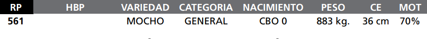 Lote LOTE   57 RP 561