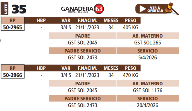 Lote LOTE 35