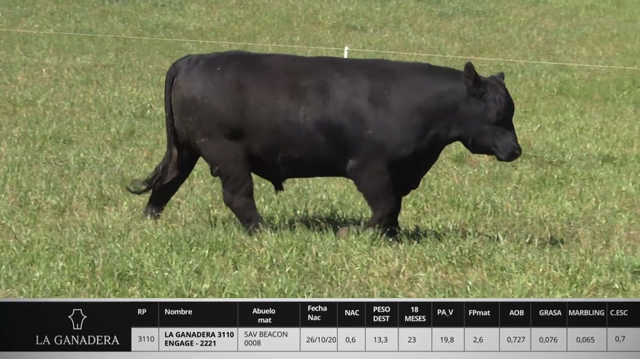 Lote LA GANADERA 3110 ENGAGE - 2221