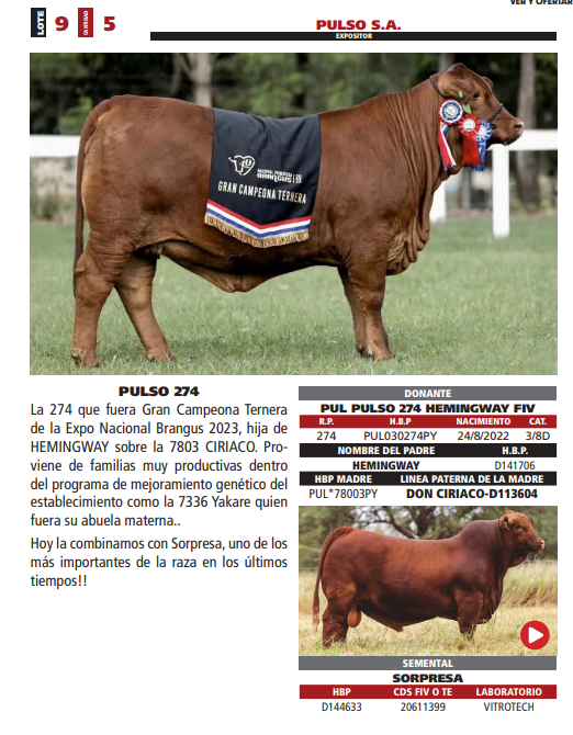 Lote LOTE 9