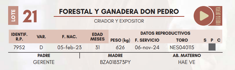 Lote LOTE 21 HEMBRAS DE CAMPO