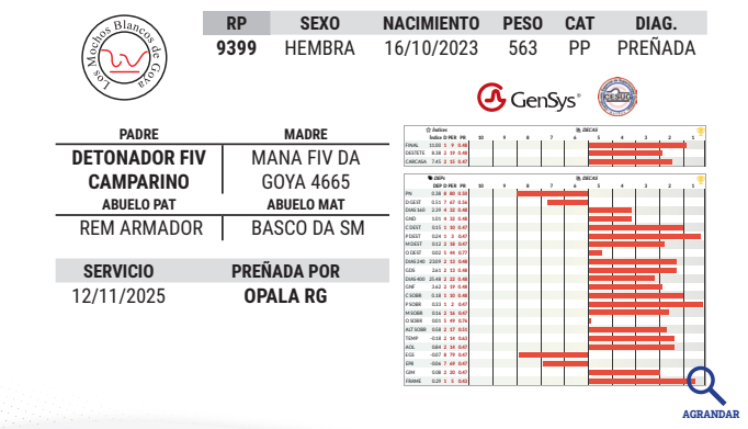 Lote LOTE 2