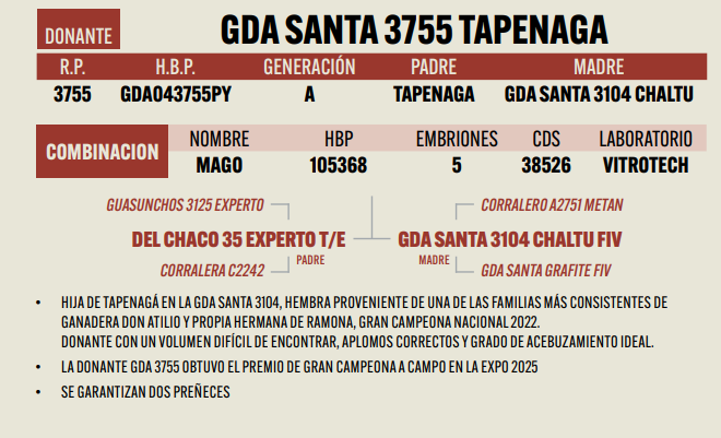 Lote LOTE 12