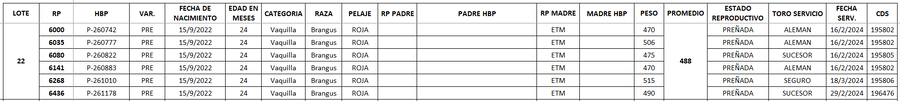 Lote LOTE 22