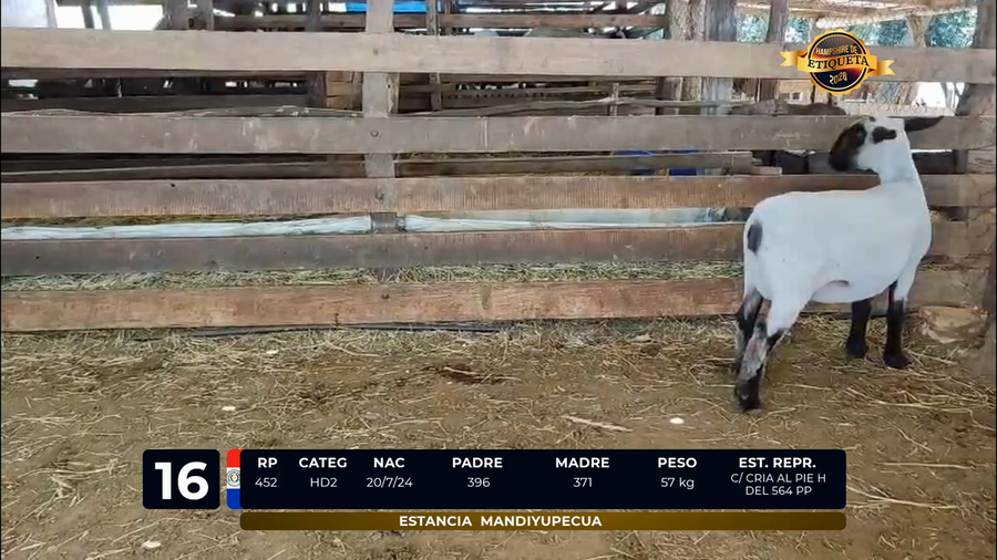 Lote LOTE 16