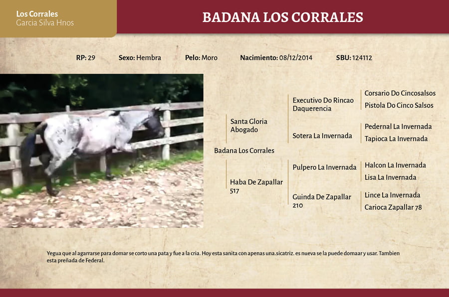 Lote Badana Los Corrales (RP 29) - Cabaña Los Corrales