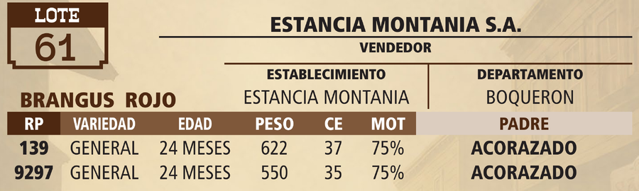 Lote LOTE 61 - VIVO