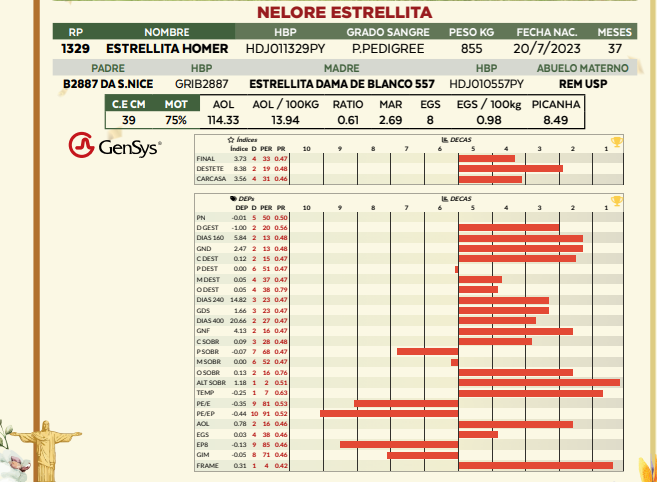 Lote LOTE 66