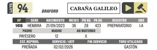 Lote LOTE 94