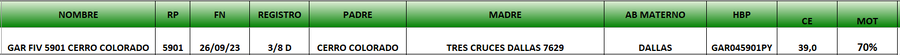 Lote LOTE 33