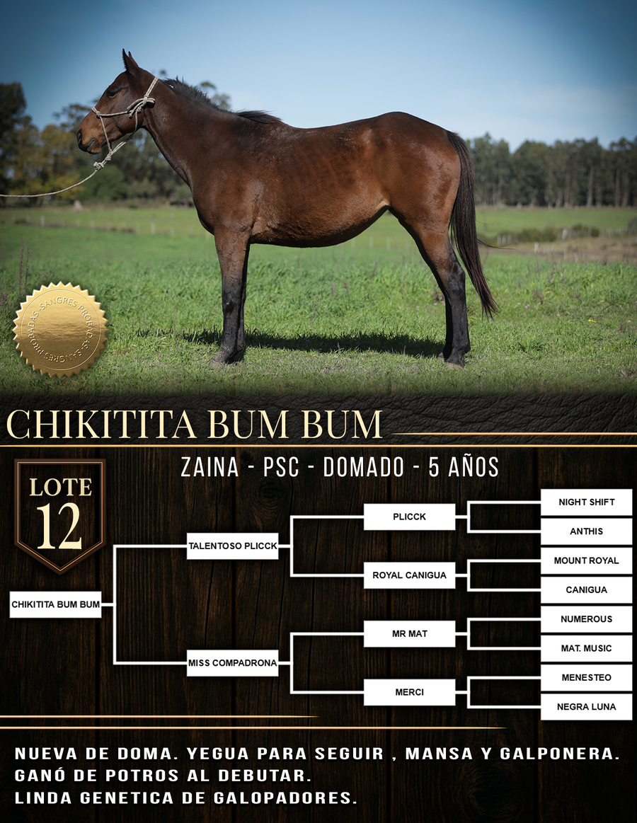 Lote CHIKITITA BUM BUM