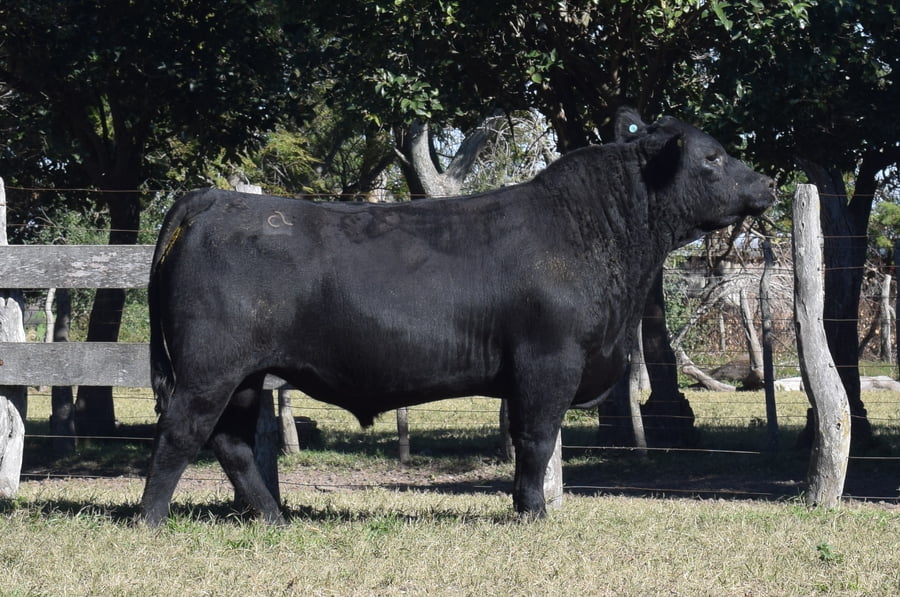 Lote CABAÑA “COEMBOTÁ” de Calderón RP 136