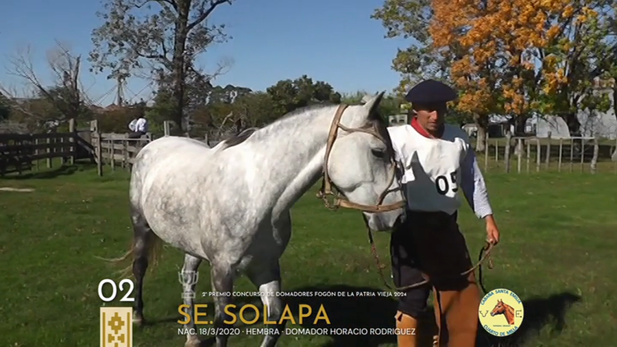 Lote Se. Solapa