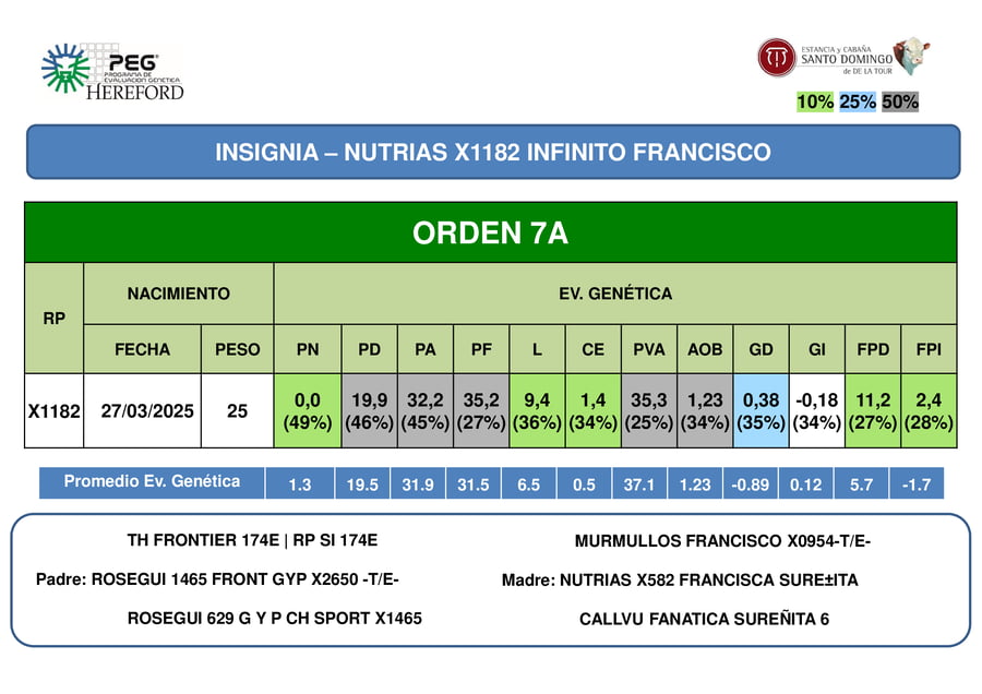 Lote ORDEN  7 VAQUILLONAS PP