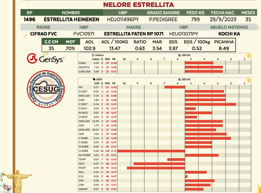 Lote LOTE 14