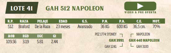 Lote LOTE 41
