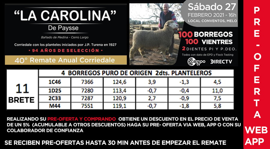Lote 1 Borregos en Cerro Largo, Cerro Largo