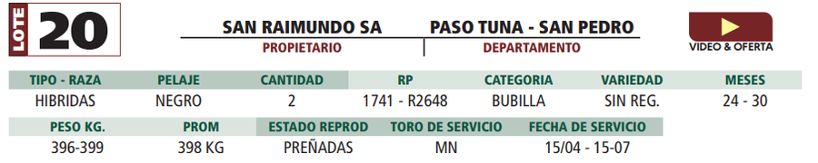 Lote LOTE 20