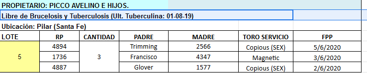 Lote 3 Vaquillonas en Pilar, Santa Fe