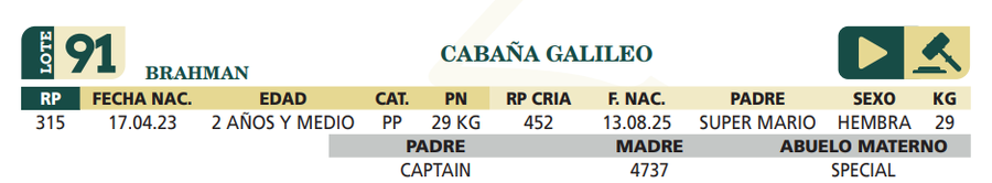 Lote LOTE 91