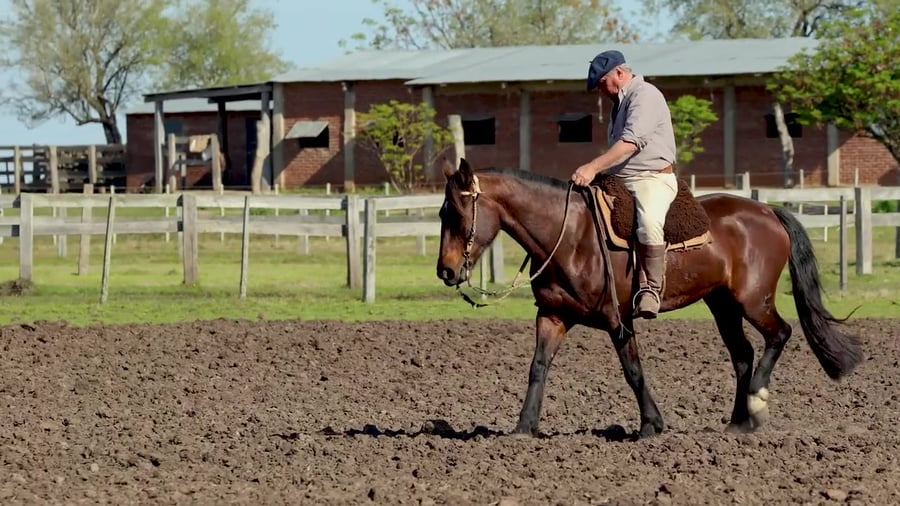 Lote Santa Ines Revelacion