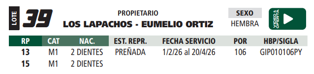 Lote LOTE 39