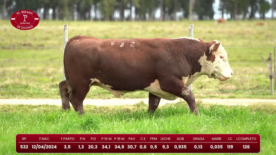 Lote Hereford