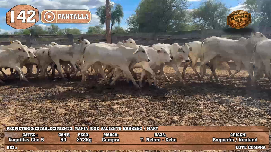 Lote LOTE 142 - PANTALLA